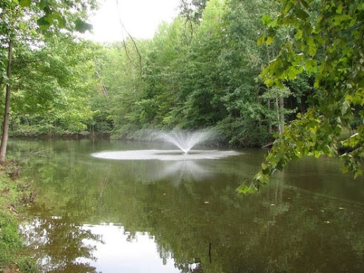 Choosing the Perfect Pond Fountain: A Comprehensive Guide