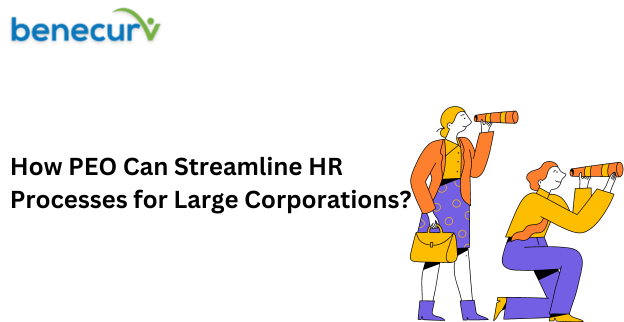 How Professional Employer Organization Can Streamline HR Processes for Large Corporations?