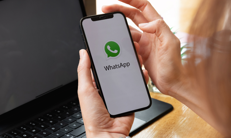  WhatsApp Marketing: Why Should You Pick It?