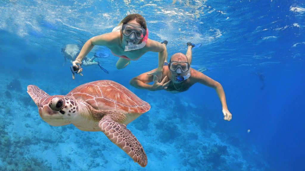 Punta Cana Snorkeling Tours: Amazing Caribbean Underwater Scenery