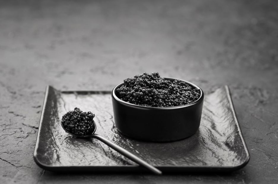 best place to buy shilajit
