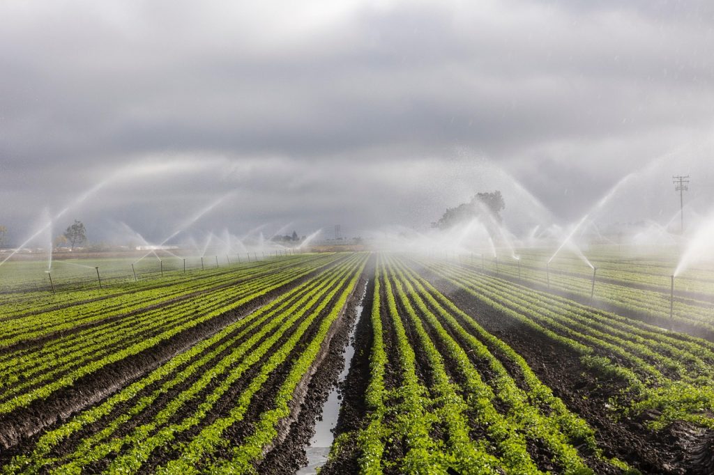 Irrigation Services