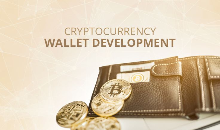 A Developer’s Guide to Building a Secure Cryptocurrency Wallet