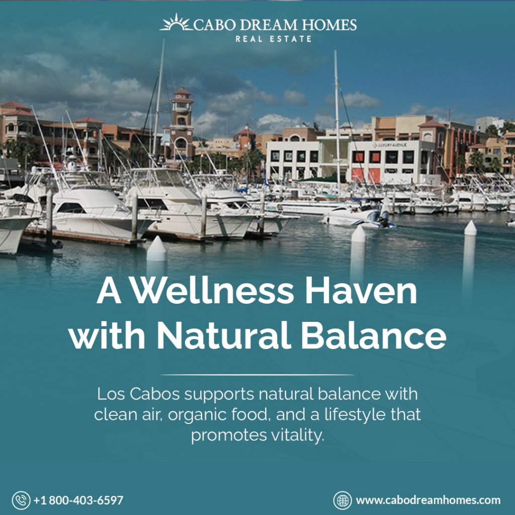 Discover La Jolla: Your Oceanfront Paradise in San José del Cabo