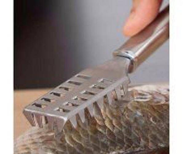 Fish scale cleaner  