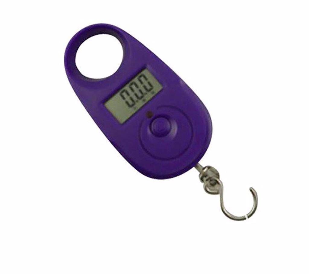 Portable Electric Weight Scale - 25kg
