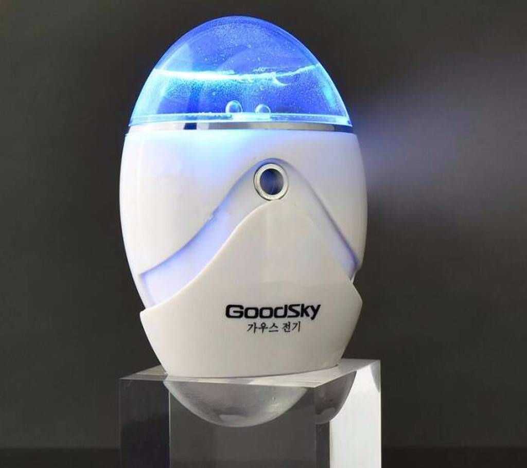 Good Sky Nano Mist Face Steamer