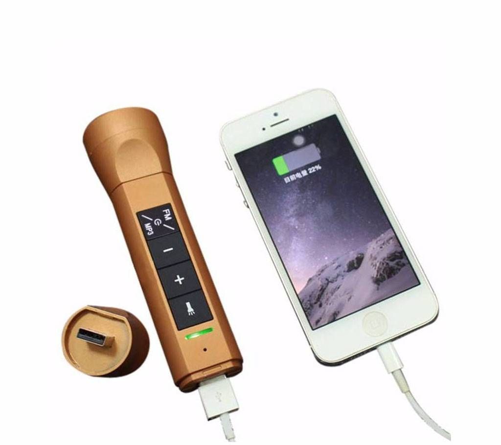 music LED torch with Bluetooth 