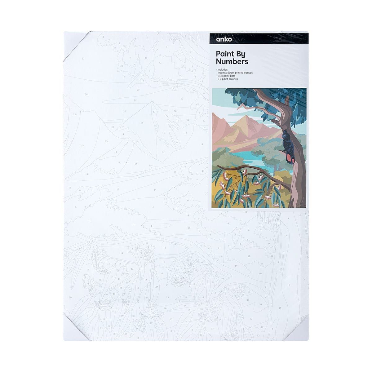 Paint By Numbers - Australian Landscape