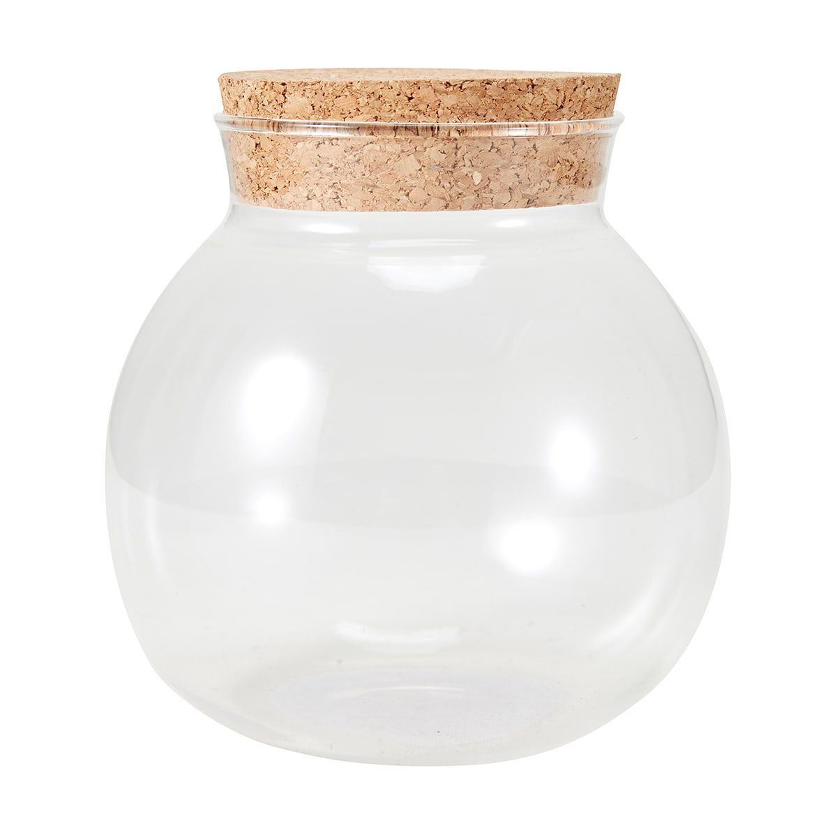 Glass Terrarium