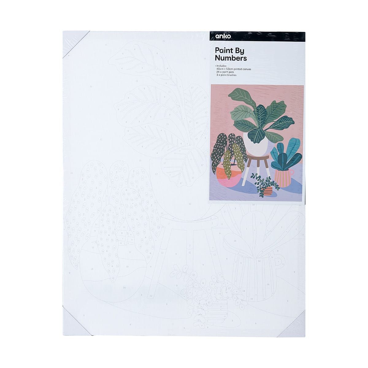 Paint By Numbers - Pot Plants