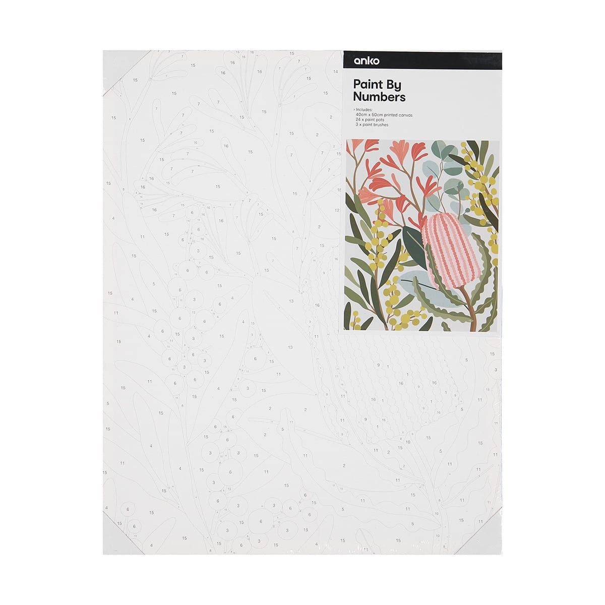 Paint by Numbers - Native Floral