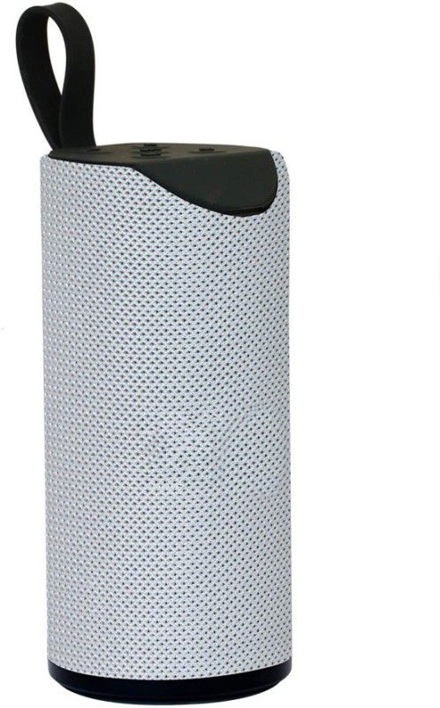 tsw TG 113 Portable Bluetooth Speaker High Bass Sound 20 W Bluetooth Speaker  (Silver, 2.0 Channel)