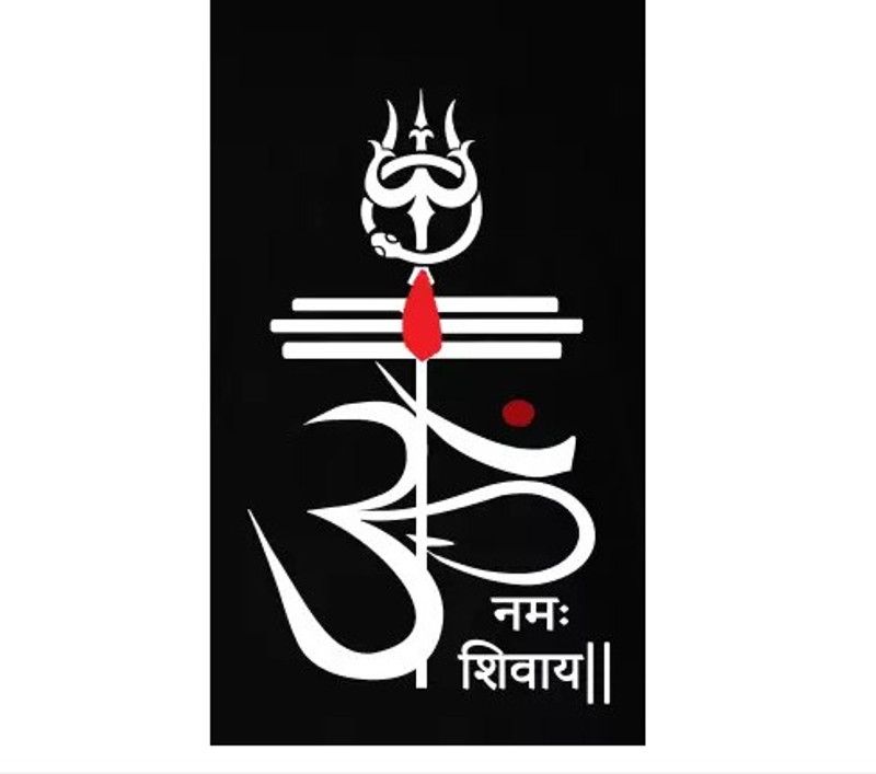 AVSARACHNA Sticker & Decal for Car & Bike  (White)