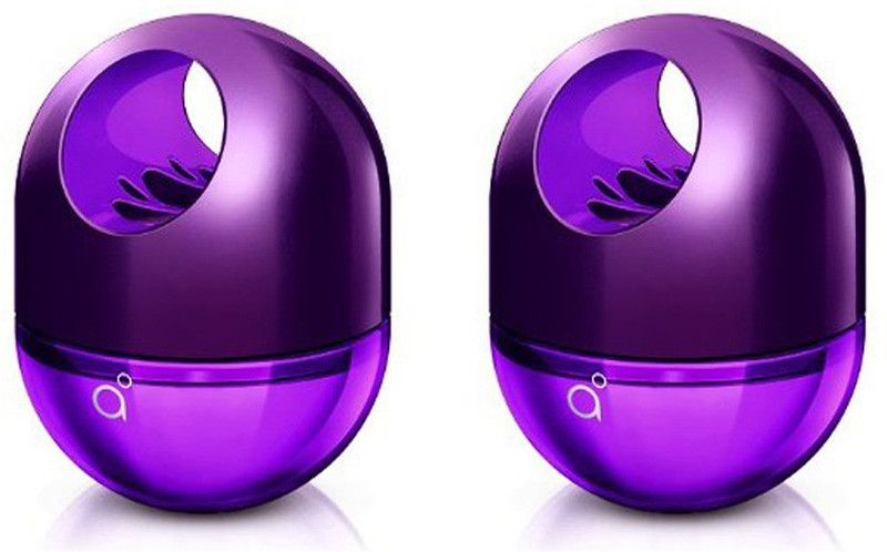 Godrej Rich Car Freshener  (2 x 45 g)