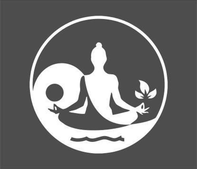 AVSARACHNA Sticker & Decal for Car  (White)