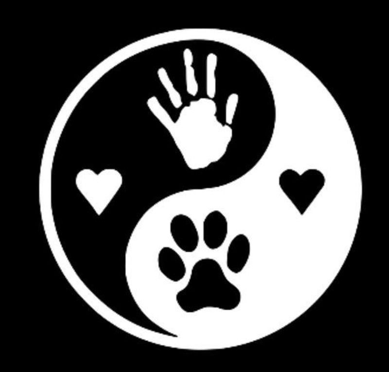 VVWV Sticker & Decal for Car  (White)