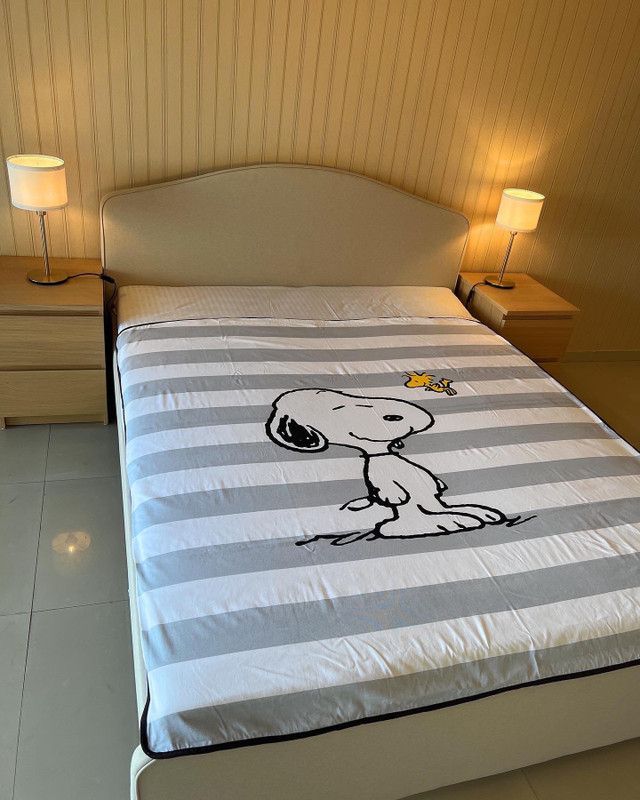 Threads & Yarn Cartoon Single AC Blanket for AC Room  (Cotton, White, Light Grey)