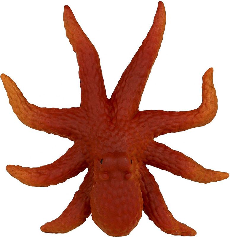 Boing Octopus Coloured Growing Magic Pets Bath Toy  (Multicolor)