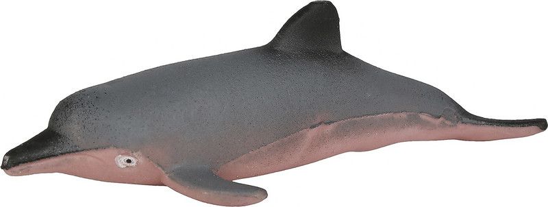Boing Dolphin Coloured Growing Magic Pets Bath Toy  (Multicolor)