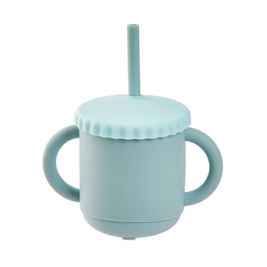 250ml Silicone Transitional Straw Sippy Cup - Teal