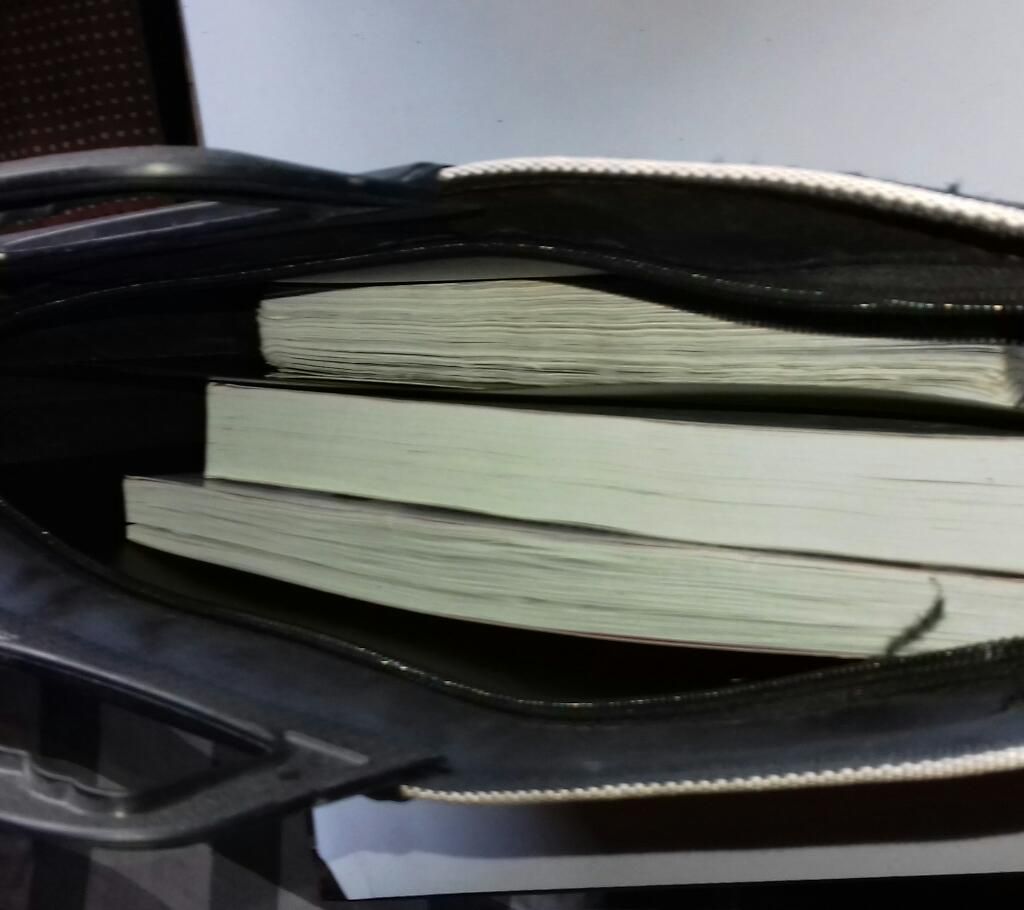 Hand bag, Officeal bag