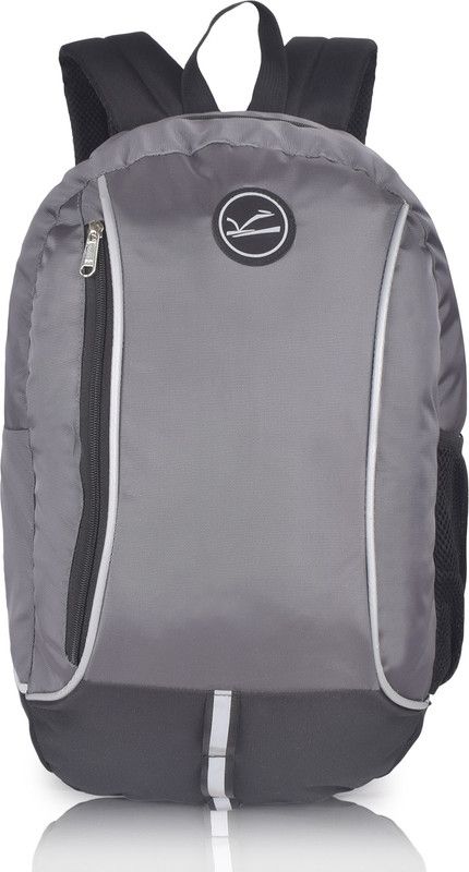 Medium 25 L Laptop Backpack Reflections Backpack Multifunction Travel Hiking Polyster Daypack College School Light Weight Book bag  (Grey)