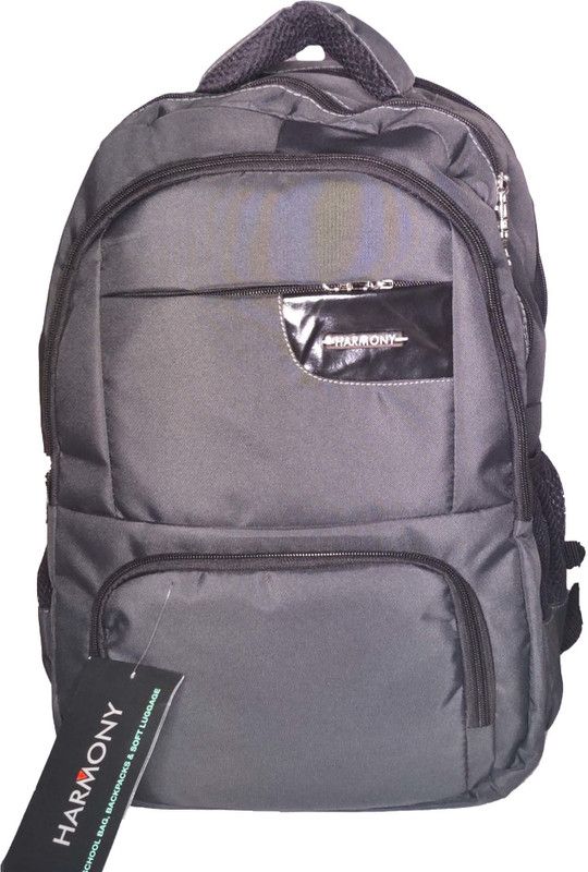 Large 38 L Laptop Backpack Pvc & Pu Coated Nylon Bag Pack School Bag  (Black)