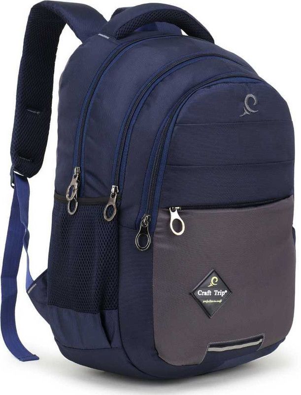 Medium 30 L Laptop Backpack Medium30L Laptop Backpack School office regular waterproof Raincover laptop bag  (Blue, Grey)