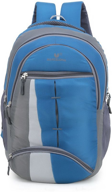 Medium 29 L Laptop Backpack Casual Polyester  (Blue, Grey)