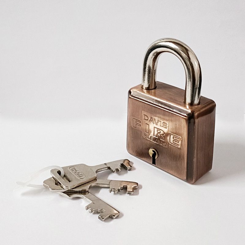 TrustShip ™8 Leavers Pad Door Lock 3 Keys ( Sirf Aapni chaabi se khule, Suraksha ka WADA ) Safety Lock  (Black)