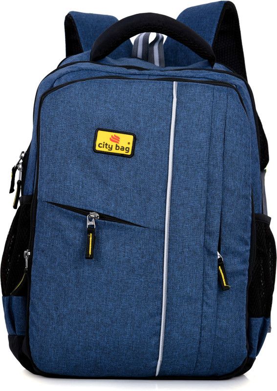 Large 35 L Laptop Backpack BTR_  (Blue)