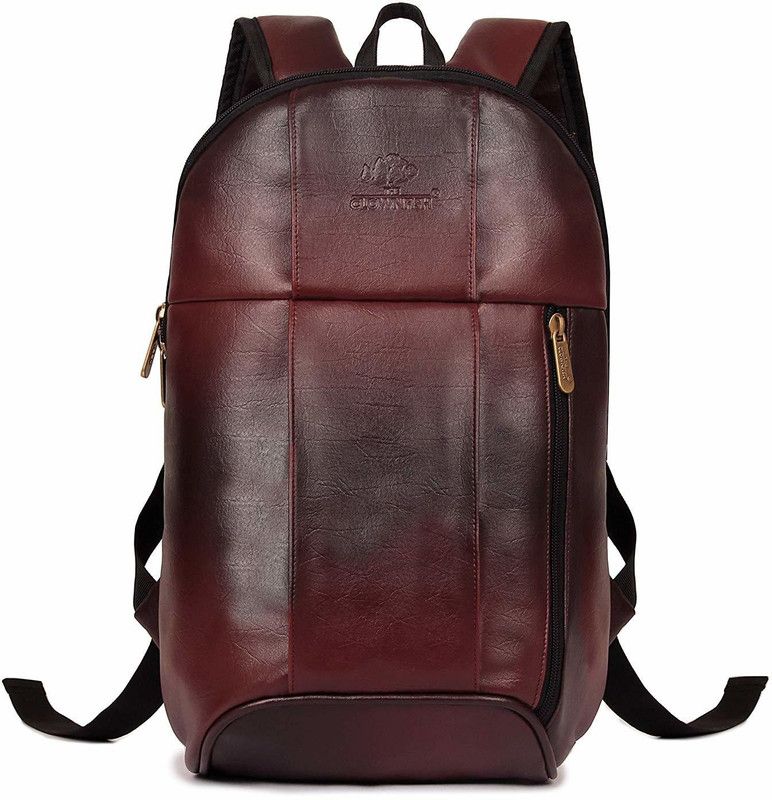 Small 13 L Backpack Skylr  (Maroon, Black)