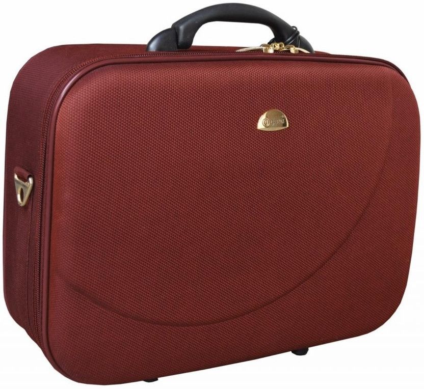 Canon Deluxe Small Travel Bag  (Maroon)