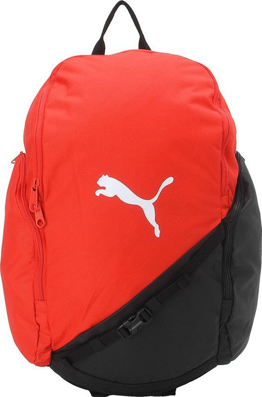 Medium 21 L Backpack 7521402  (Red)