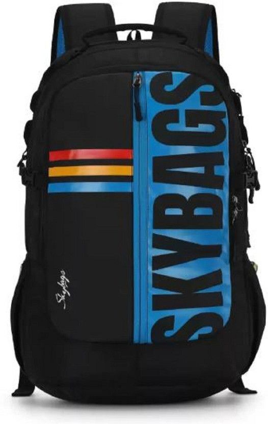 Large 33 L Laptop Backpack HERIOS PLUS 04 LAPTOP BACKPACK BLACK  (Black)