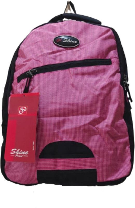 Small 20 L Backpack College Backpack  (Pink)