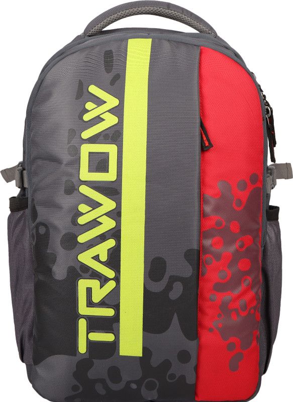 Medium 30 L Laptop Backpack Grey College Backpack  (Grey)