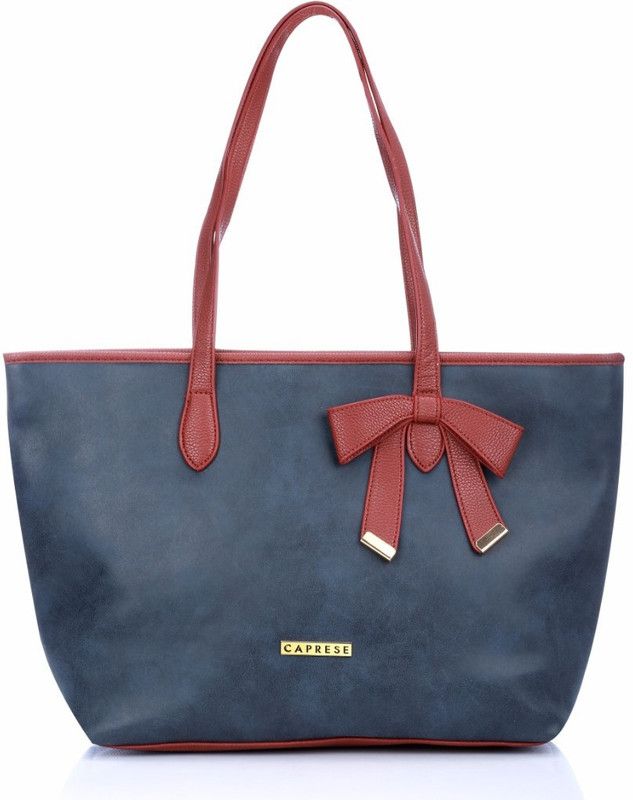 Women Blue, Brown Hand-held Bag - Extra Spacious