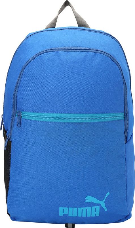 Small 20 L Backpack Basic Backpack  (Blue)