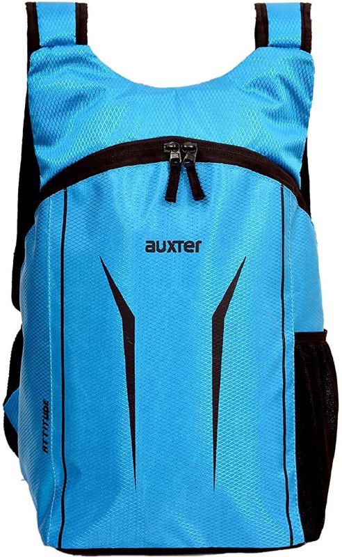 Small 15 L Backpack Blue 15 LTR Casual Travel bagpack/School Backpack Bag Turquoise Blue  (Blue)