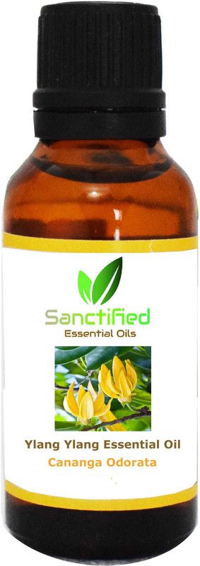 Sanctified Ylang Ylang Essential Oil 100% Pure Natural & Undiluted Oils 30ml for hair, skin for unisex  (30 ml)