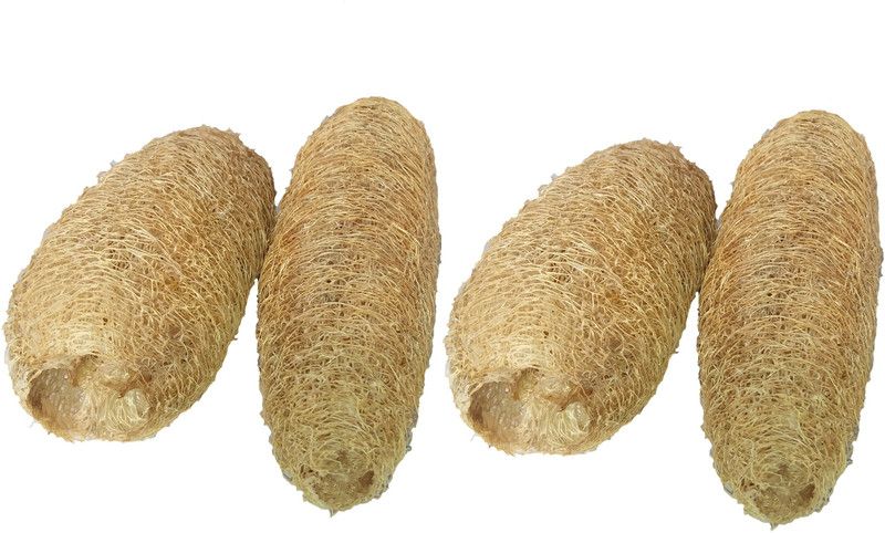 Das Departmental Store Loofah  (Pack of 4, Beige)
