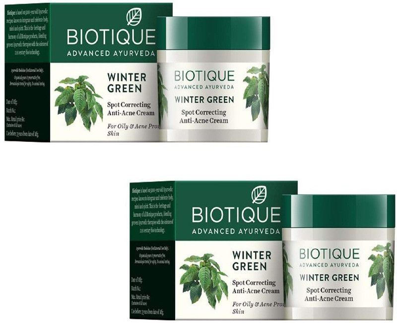 BIOTIQUE Pack of 2 Bio Winter Green Spot Correcting Anti Acne Cream, 15g ( For All Skin Types )  (30 g)