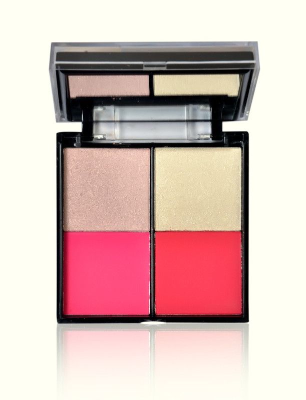 s.f.r color Contour-Highlight/Blush/Bronzer/Contour(6653-02) 18 g  (Multicolor)