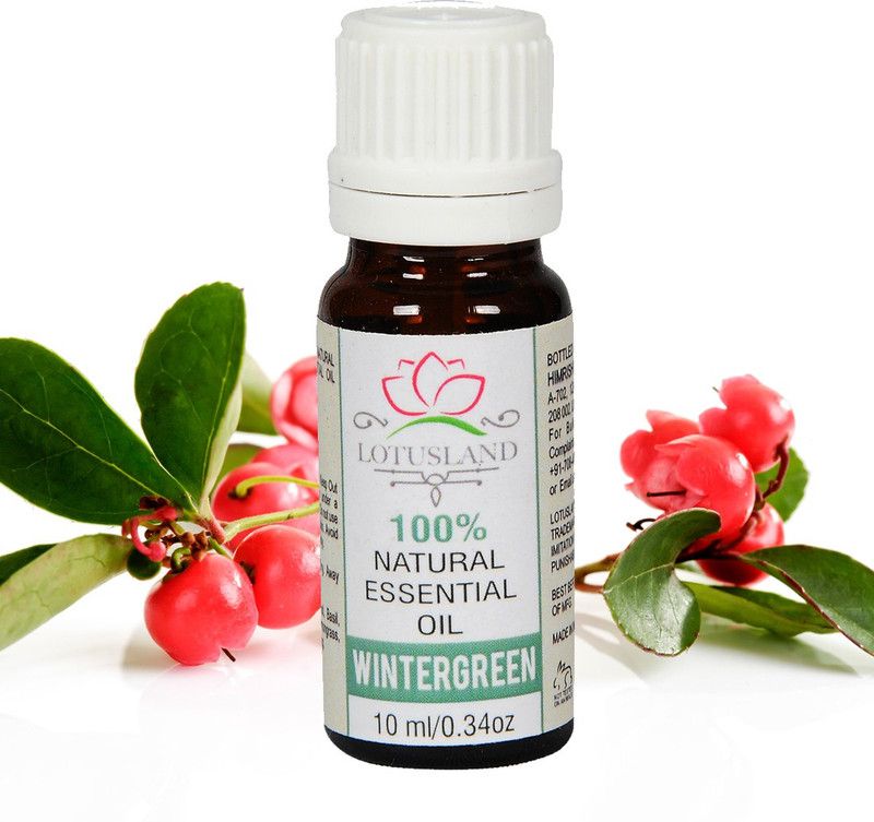 Lotusland 100% Pure & Natural Wintergreen Essential Oil  (10 ml)