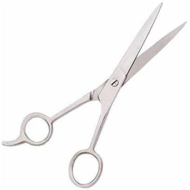 SBTs SWAG THINNING SCISSOR Scissors  (Set of 1, Silver)