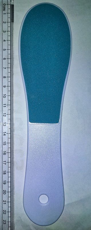Blue tulip BT 2343