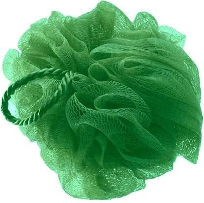 Sheenuu Loofah  (Pack of 2, Multicolor)