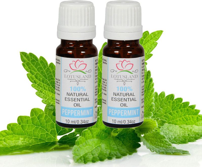 Himrishi Lotusland 100% Pure & Natural Peppermint Essential Oil (Pack of 2  (10 ml)